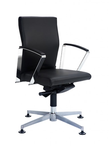 Silla giratoria CLASSIC LINE 8253